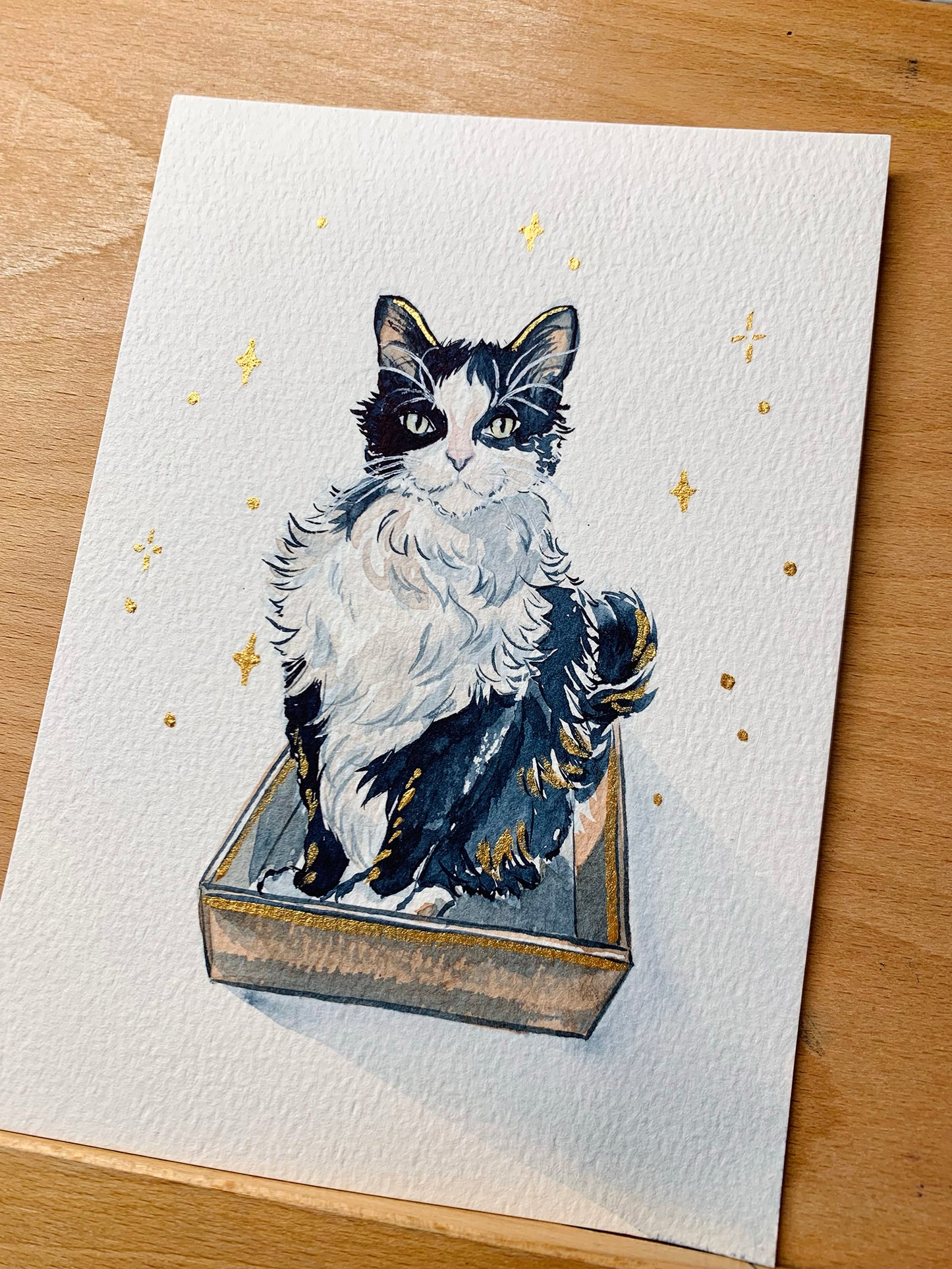 Custom Pet Pawtraits